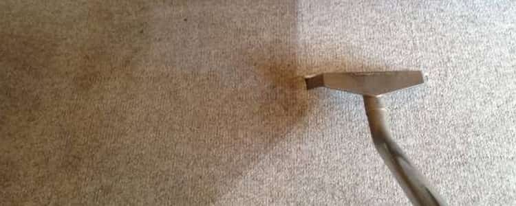 Best End of Lease Carpet Cleaning Peppermint Grove